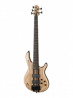CORT A5-Ultra-Ash-WCASE-ENB