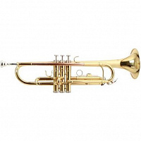 ROY BENSON TR-101 Bb
