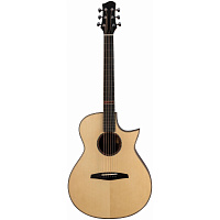 ALTAMIRA MPro-1