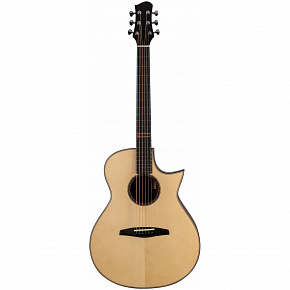 ALTAMIRA MPro-1