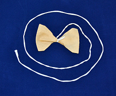 ������ CSS-01