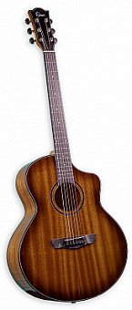 OMNI SCE-12 B1G RT