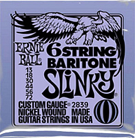 ERNIE BALL P02839