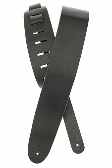 PLANET WAVES 25BL00