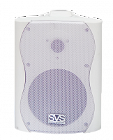 SVS AUDIOTECHNIK WS-30 White