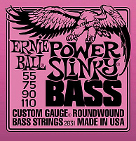 ERNIE BALL P02831