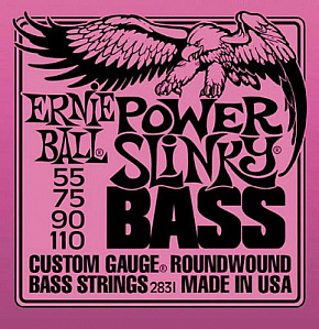 ERNIE BALL P02831