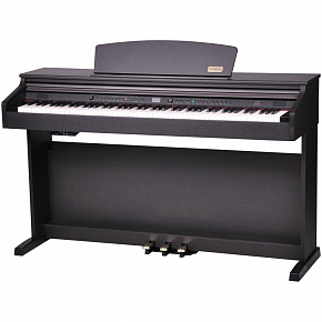 ARTESIA DP-10e Rosewood