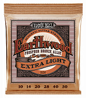 ERNIE BALL P02150