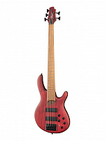 CORT B5 Element OPBR