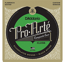 D'ADDARIO EJ25B