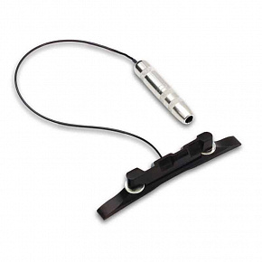 FISHMAN PRO-M10-0MA