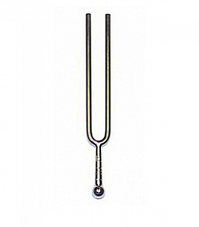 WITTNER 921329IE