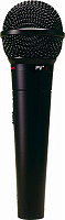 PEAVEY PVi 2 XLR