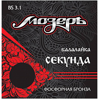������ BS3.1