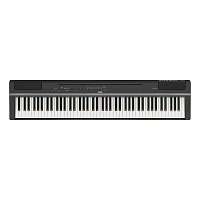 YAMAHA P-125aB