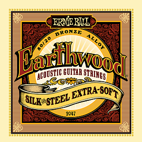 ERNIE BALL P02047