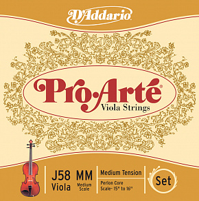 D'ADDARIO J58-MM