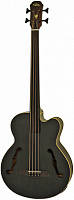 ARIA FEB-F2M/FL STBK