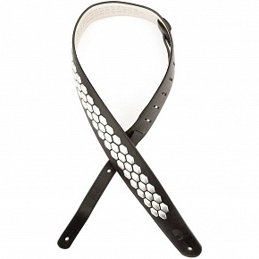 PLANET WAVES L25S1503