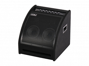 SOUNDKING DS200