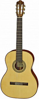 ARIA S201