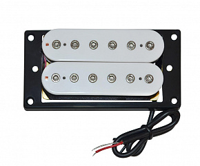 BELCAT BH-27Neck-IVY