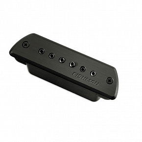 FISHMAN PRO-BLK-STK