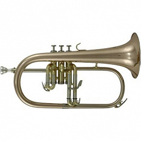ROY BENSON FH-302G Bb
