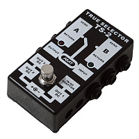 AMT TS-2