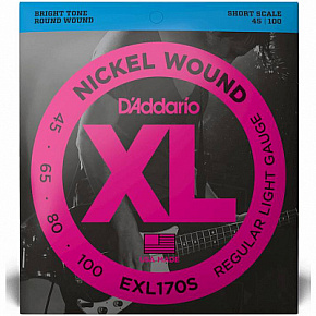 D'ADDARIO EXL170S