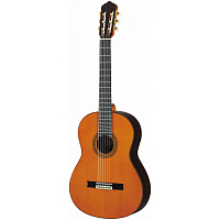 YAMAHA GC22 C