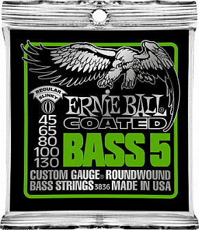 ERNIE BALL P03836