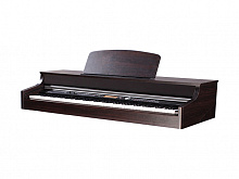 MEDELI DP388-BK