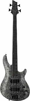 SCHECTER MVP C-4 BLACK REIGN