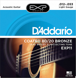 D'ADDARIO EXP11