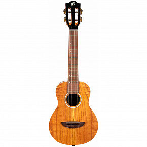 FLIGHT IRIS Concert Calantas