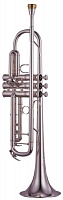 YAMAHA YTR-8335 (Xeno)