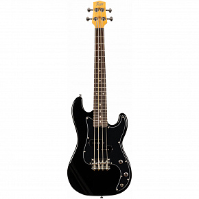 FLIGHT Mini Bass Lite BK