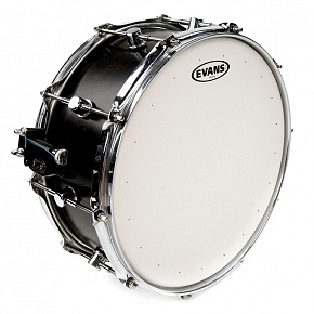 EVANS B12HDD HD Dry 12"