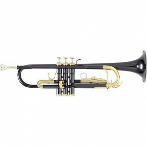 ROY BENSON TR-101K Bb