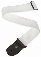 PLANET WAVES PWS108