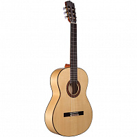 ALTAMIRA N300F+ W-CASE