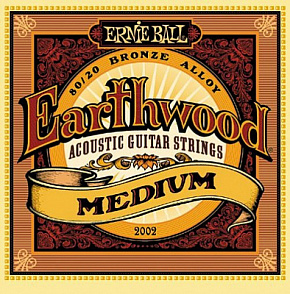 ERNIE BALL P02002