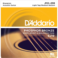 D'ADDARIO EJ19