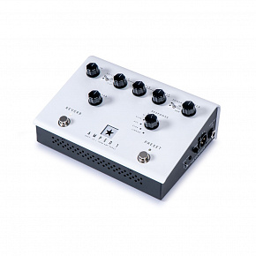 BLACKSTAR DEPT. 10 AMPED 1