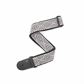 PLANET WAVES T20W1408