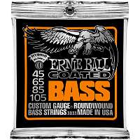 ERNIE BALL P03833