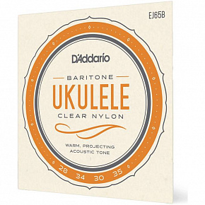 D'ADDARIO EJ65B