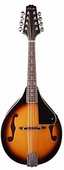 STAGG M20